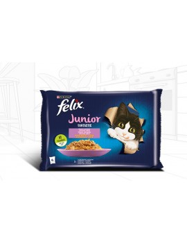 Felix Junior wybór smaków...