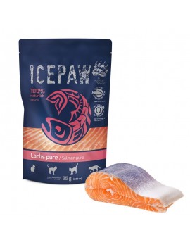 ICEPAW Czysty łosoś 100g