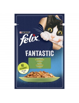 Felix Fantastic królik w...