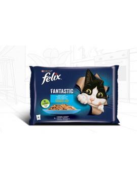 Felix Fantastic smaki rybne...