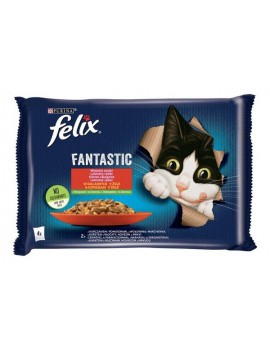 Felix Fantastic smaki...