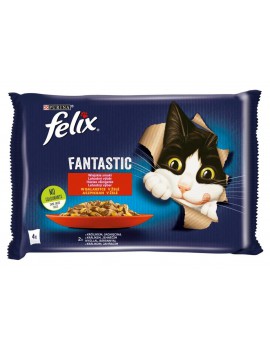 Felix Fantastic smaki...