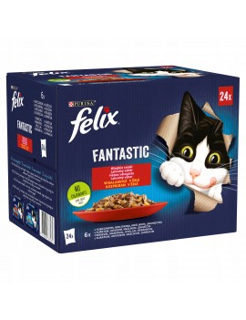 Felix Fantastic wiejskie...