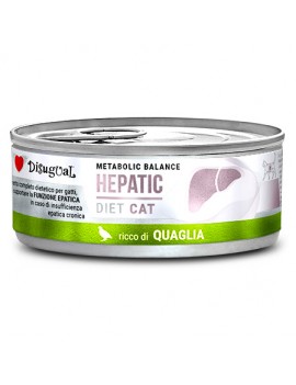 Disugual kot Hepatic...