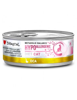 Disugual kot hypoallergenic...