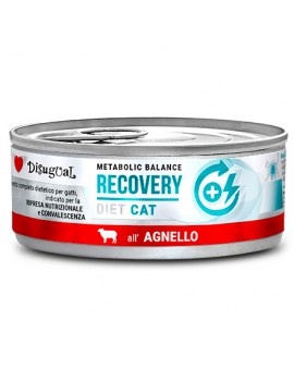 Disugual kot Recovery...