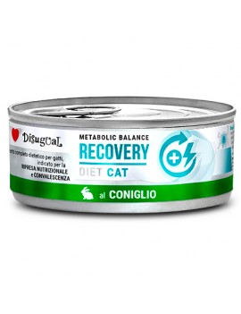 Disugual kot Recovery...