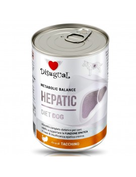 Disugual pies Hepatic indyk...