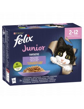 Felix Fantastic Junior...