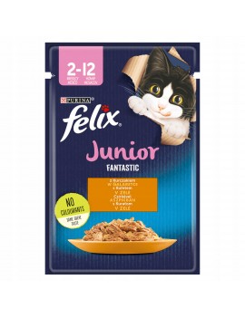 Felix Fantastic Junior...