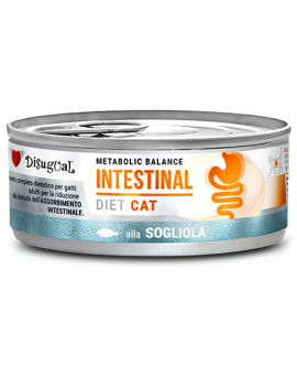 Disugual kot Intestinal...