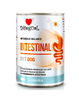 Disugual pies Intestinal...
